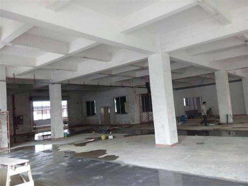 江門市廠房承重安全檢測鑒定辦理公司怎么找 江門市新聞